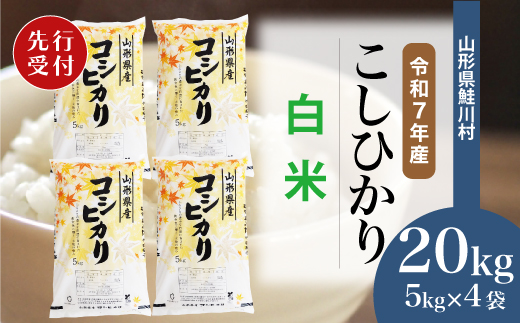 ＜令和7年産米先行受付＞ 令和7年11月中旬発送　こしひかり 【白米】 20kg （5kg×4袋） 鮭川村