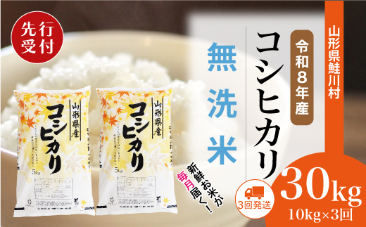 ＜令和8年産米先行受付＞ 令和8年12月下旬より配送開始 こしひかり【無洗米】30kg定期便 (10kg×3回)　鮭川村