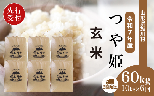 ＜令和7年産米先行受付＞ 令和8年1月中旬より配送開始 特別栽培米 つや姫【玄米】60kg定期便(10kg×6回)　鮭川村