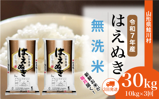 [令和7年産米] 令和7年12月上旬より配送開始 はえぬき[無洗米]30kg定期便 (10kg×3回) 鮭川村