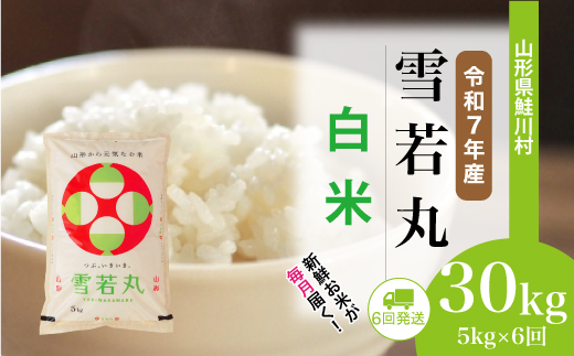 ＜令和7年産米＞ 令和8年3月中旬より配送開始 雪若丸【白米】30kg定期便 (5kg×6回)　鮭川村