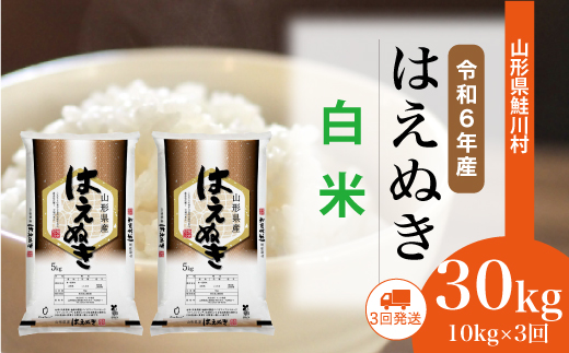 ＜令和6年産米＞ 令和7年2月中旬より配送開始 はえぬき【白米】30kg定期便 (10kg×3回)　鮭川村