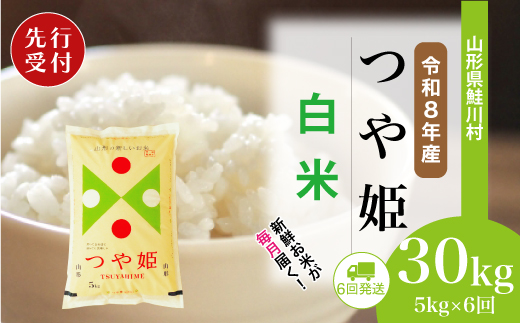 ＜令和8年産米先行受付＞ 令和9年3月中旬より配送開始 特別栽培米 つや姫【白米】30kg定期便 (5kg×6回)　鮭川村