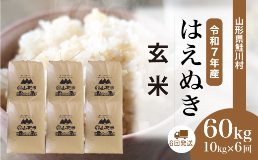 ＜令和7年産米＞ 令和8年2月下旬より配送開始 はえぬき【玄米】60kg定期便(10kg×6回)　鮭川村