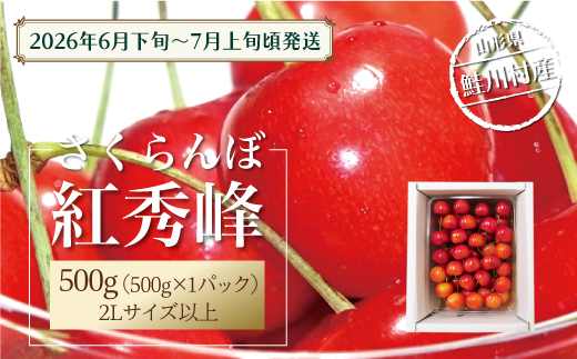 【令和8年産 早期受付】 鮭川村産さくらんぼ ＜紅秀峰＞ 特秀2Lサイズ以上バラ詰め 500g
