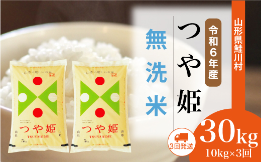 [令和6年産米] 令和6年11月下旬より配送開始 特別栽培米 つや姫[無洗米]30kg定期便 (10kg×3回) 鮭川村