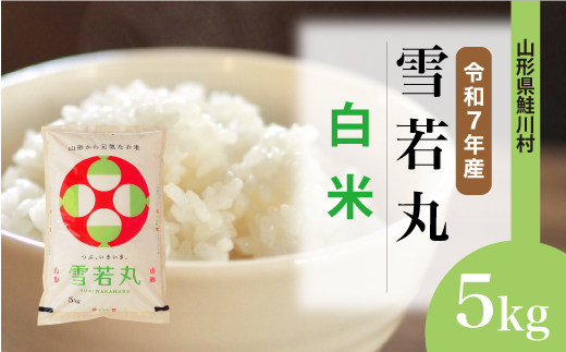 ★数量限定★　令和7年産 山形県産　雪若丸 【白米】 5kg （5kg×1袋） 鮭川村　＜お申し込み完了後10日程度で発送＞