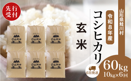 ＜令和8年産米先行受付＞ 令和9年1月上旬より配送開始 こしひかり【玄米】60kg定期便(10kg×6回)　鮭川村
