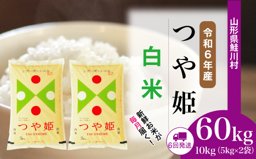 ＜令和6年産米＞ 令和6年11月下旬より配送開始 特別栽培米 つや姫【白米】60kg定期便(10kg×6回)　鮭川村