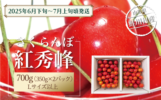 【令和7年産 早期受付】 鮭川村産さくらんぼ ＜紅秀峰＞ Lサイズ以上バラ詰め 700g