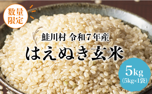 ◇数量限定品◇ 令和8年6月下旬発送 ＜令和7年産＞ はえぬき 【玄米】 5kg （5kg×1袋）鮭川村