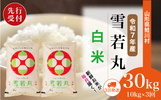 ＜令和7年産米先行受付＞ 令和8年1月下旬より配送開始 雪若丸【白米】30kg定期便 (10kg×3回)　鮭川村