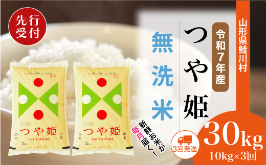 ＜令和7年産米先行受付＞ 令和8年1月中旬より配送開始 特別栽培米 つや姫【無洗米】30kg定期便 (10kg×3回)　鮭川村