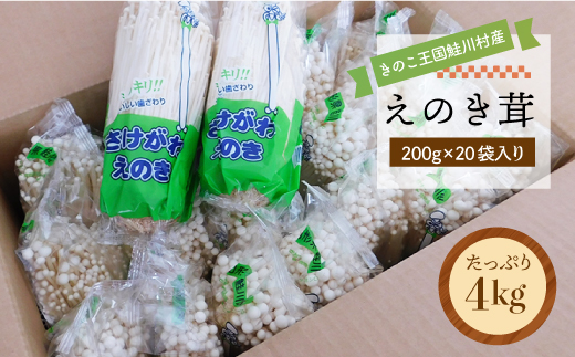 きのこ王国鮭川村産 ［えのき茸］ たっぷり4kg（200g×20袋入り）