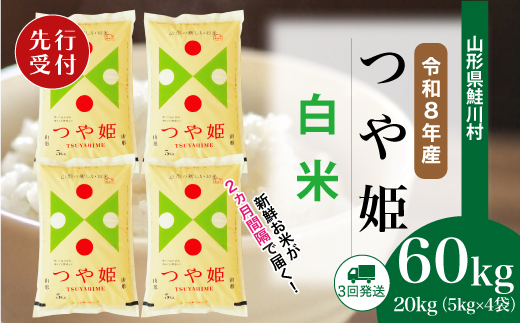 ＜令和8年産米先行受付＞ 令和9年2月上旬より配送開始 特別栽培米 つや姫【白米】60kg定期便(20kg×3回)　鮭川村