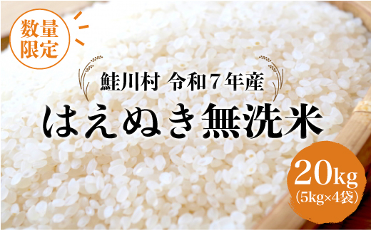 ◇数量限定品◇ 令和8年9月下旬発送 ＜令和7年産＞ はえぬき 【無洗米】 20kg （5kg×4袋）鮭川村