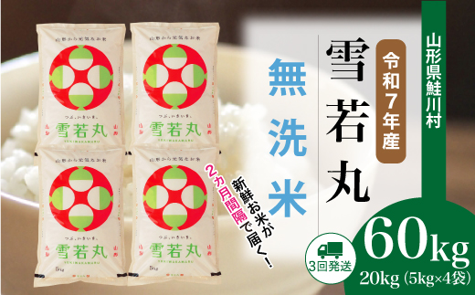 ＜令和7年産米＞ 令和8年3月下旬より配送開始 雪若丸【無洗米】60kg定期便(20kg×3回)　鮭川村