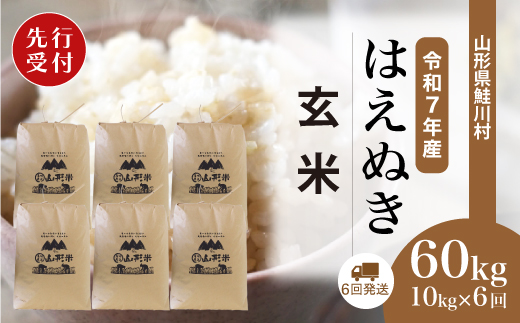 ＜令和7年産米先行受付＞ 令和7年10月上旬より配送開始 はえぬき【玄米】60kg定期便(10kg×6回)　鮭川村
