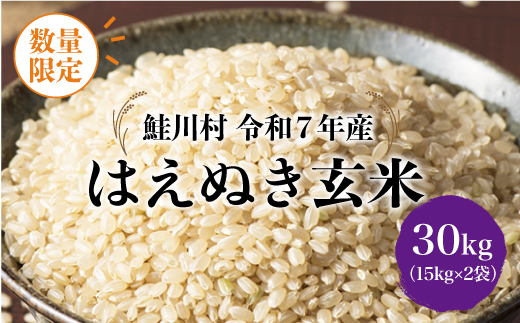 ◇数量限定品◇ 令和8年9月中旬発送 ＜令和7年産＞ はえぬき 【玄米】 30kg （15kg×2袋） 沖縄県・離島配送不可　鮭川村