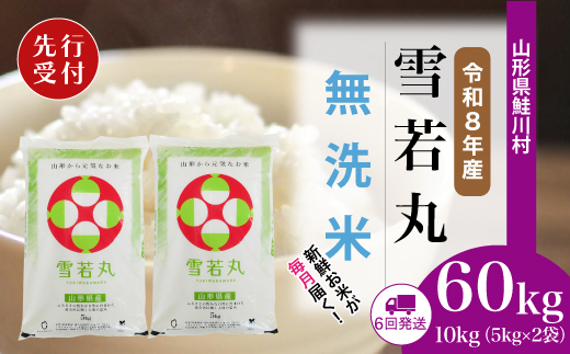 ＜令和8年産米先行受付＞ 令和9年2月中旬より配送開始 雪若丸【無洗米】60kg定期便(10kg×6回)　鮭川村