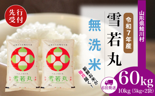 ＜令和7年産米先行受付＞ 令和8年2月下旬より配送開始 雪若丸【無洗米】60kg定期便(10kg×6回)　鮭川村