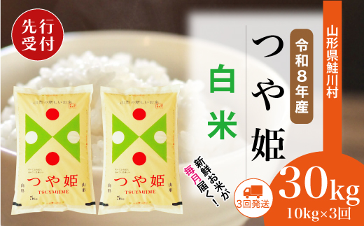 ＜令和8年産米先行受付＞ 令和9年2月下旬より配送開始 特別栽培米 つや姫【白米】30kg定期便 (10kg×3回)　鮭川村