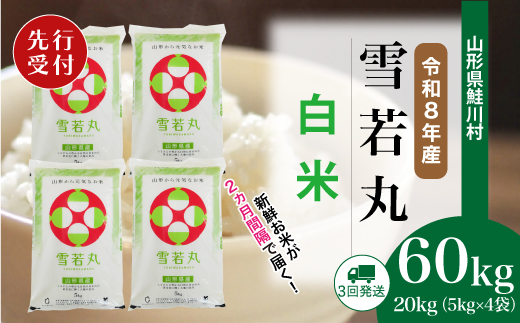 ＜令和8年産米先行受付＞ 令和9年4月中旬より配送開始 雪若丸【白米】60kg定期便(20kg×3回)　鮭川村
