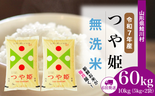 ＜令和7年産米＞ 令和8年1月中旬より配送開始 特別栽培米 つや姫【無洗米】60kg定期便(10kg×6回)　鮭川村