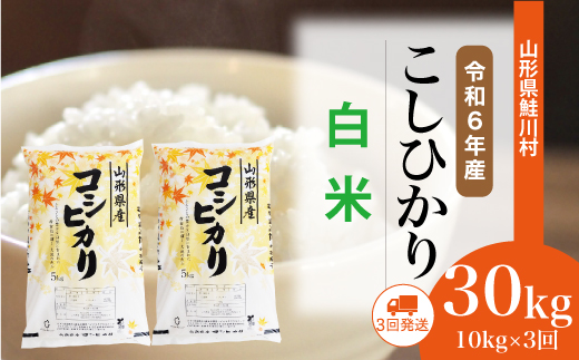 [令和6年産米] 令和6年11月下旬より配送開始 コシヒカリ[白米]30kg定期便 (10kg×3回) 鮭川村