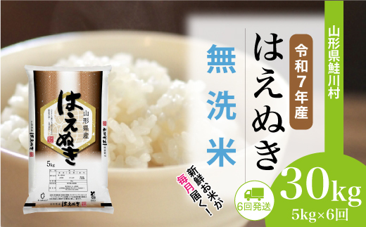 ＜令和7年産米＞ 令和8年4月下旬より配送開始 はえぬき【無洗米】30kg定期便 (5kg×6回)　鮭川村