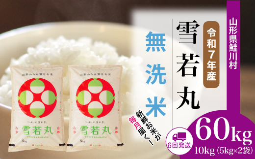 ＜令和7年産米＞ 令和8年4月下旬より配送開始 雪若丸【無洗米】60kg定期便(10kg×6回)　鮭川村