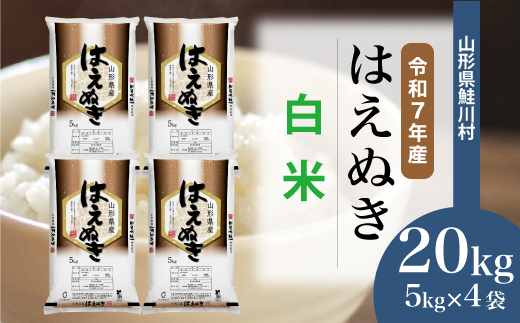 ＜令和7年産米＞ 令和8年2月上旬発送　はえぬき 【白米】 20kg （5kg×4袋） 鮭川村