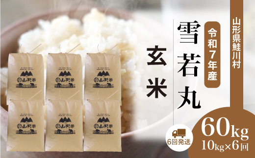 ＜令和7年産米＞ 令和8年2月中旬より配送開始 雪若丸【玄米】60kg定期便(10kg×6回)　鮭川村