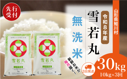＜令和8年産米先行受付＞ 令和9年1月上旬より配送開始 雪若丸【無洗米】30kg定期便 (10kg×3回)　鮭川村