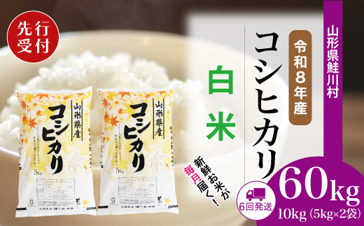 ＜令和8年産米先行受付＞ 令和9年1月中旬より配送開始 こしひかり【白米】60kg定期便(10kg×6回)　鮭川村
