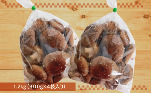 きのこ王国鮭川村産 ［しいたけ］ サイズ不揃い たっぷり1.2kg（300g×4袋入り）