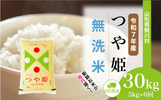 ＜令和7年産米＞ 令和8年1月下旬より配送開始 特別栽培米 つや姫【無洗米】30kg定期便 (5kg×6回)　鮭川村