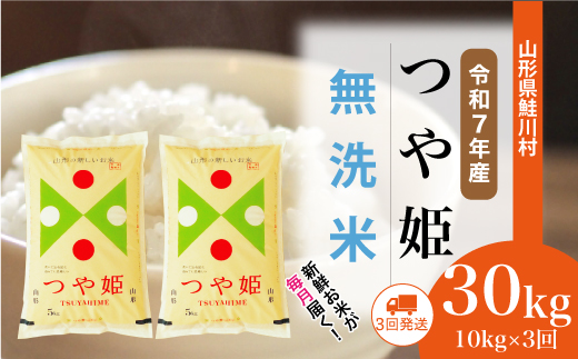 [令和7年産米] 令和7年12月下旬より配送開始 特別栽培米 つや姫[無洗米]30kg定期便 (10kg×3回) 鮭川村