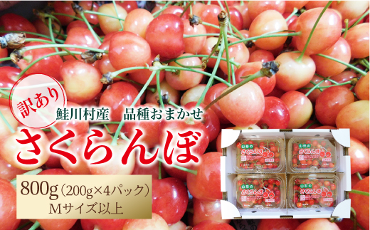 【令和7年産 早期受付】 ★訳あり★　鮭川村産さくらんぼ ＜品種おまかせ＞ フードパック800g（200g×4P）