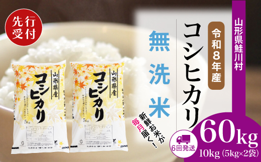 ＜令和8年産米先行受付＞ 令和9年2月下旬より配送開始 こしひかり【無洗米】60kg定期便(10kg×6回)　鮭川村