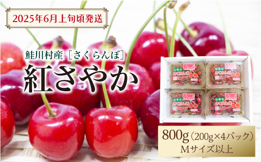 【令和7年産 早期受付】 鮭川村産さくらんぼ ＜紅さやか＞ M〜Lサイズ混合 フードパック800g（200g×4P）