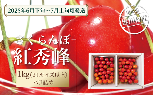 【令和7年産 早期受付】 鮭川村産さくらんぼ ＜紅秀峰＞ 特秀2Lサイズ以上バラ詰め 1kg（500g×2P）