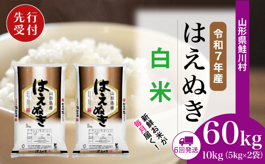 ＜令和7年産米先行受付＞ 令和7年10月上旬より配送開始 はえぬき【白米】60kg定期便(10kg×6回)　鮭川村