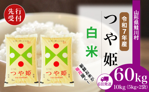 ＜令和7年産米先行受付＞ 令和8年1月中旬より配送開始 特別栽培米 つや姫【白米】60kg定期便(10kg×6回)　鮭川村