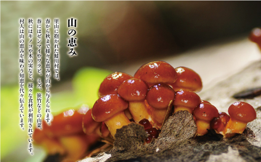 伝えたい残したい　ふるさとの味　さけがわ