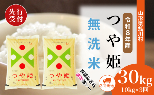＜令和8年産米先行受付＞ 令和8年11月下旬より配送開始 特別栽培米 つや姫【無洗米】30kg定期便 (10kg×3回)　鮭川村
