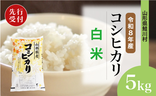 ＜令和8年産米先行受付＞ 令和8年11月中旬発送　こしひかり 【白米】 5kg （5kg×1袋） 鮭川村