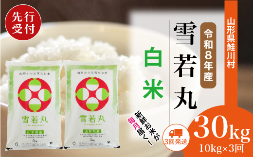 ＜令和8年産米先行受付＞ 令和8年12月下旬より配送開始 雪若丸【白米】30kg定期便 (10kg×3回)　鮭川村
