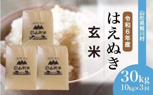 [令和6年産米] 約2週間でお届け開始 はえぬき[玄米]30kg 定期便 (10kg×3回) 鮭川村