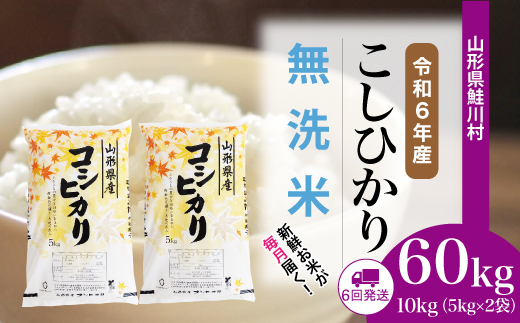 ＜令和6年産米＞ 令和7年3月中旬より配送開始 コシヒカリ【無洗米】60kg定期便(10kg×6回)　鮭川村